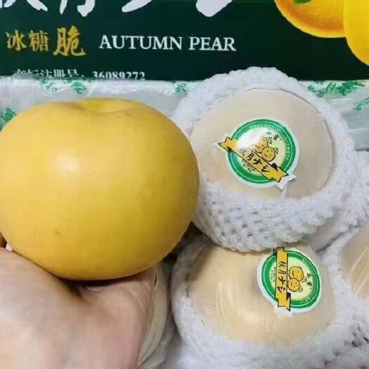 睢宁县丰水梨，秋月梨
