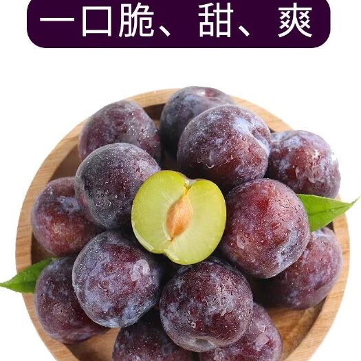 攀枝花【四川高山五月脆凤凰李】脆红李孕现摘现发