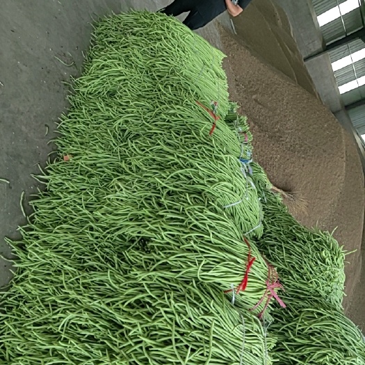 钟祥市优质长豆角，每天大量出货