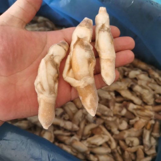 北海蛏子肉