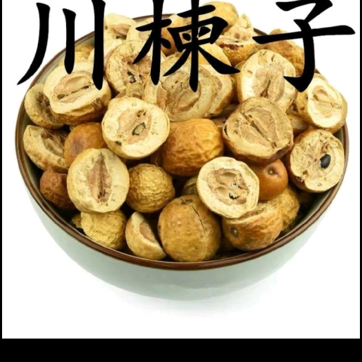 川楝子金铃子苦楝子自产自销