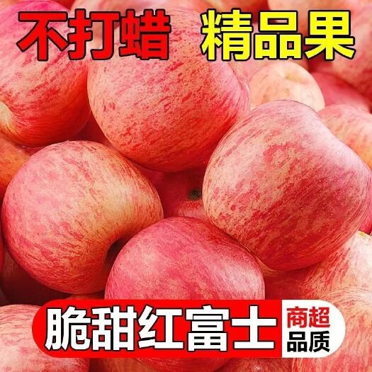 一级果山东烟台西霞红富士苹果当季新鲜水果脆甜多汁整箱批发