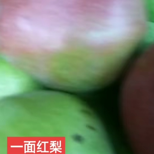临猗县一面红梨