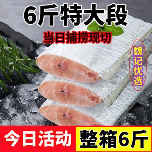 新鲜大带鱼新鲜冷冻批发