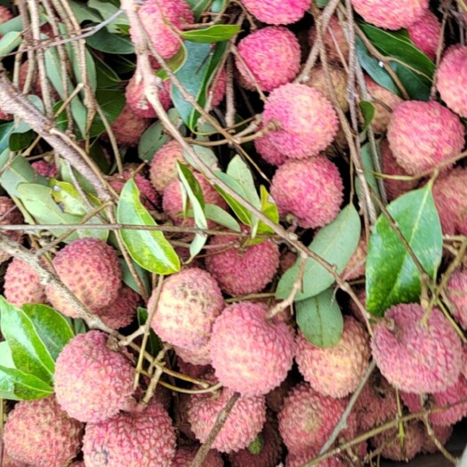 桂平市桂味