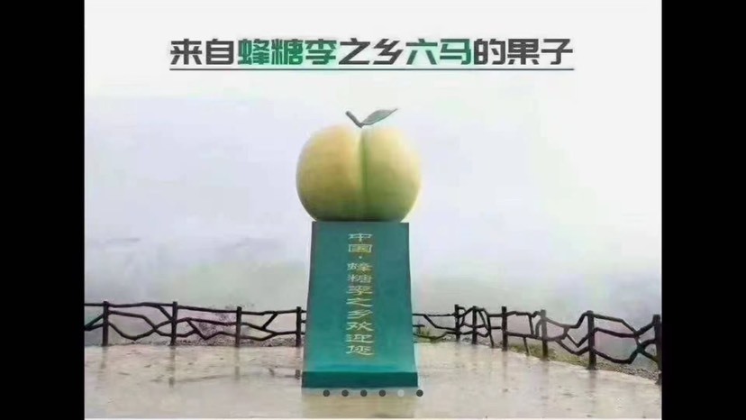 镇宁县贵州镇宁六马蜂糖李、已上市、原产地发货