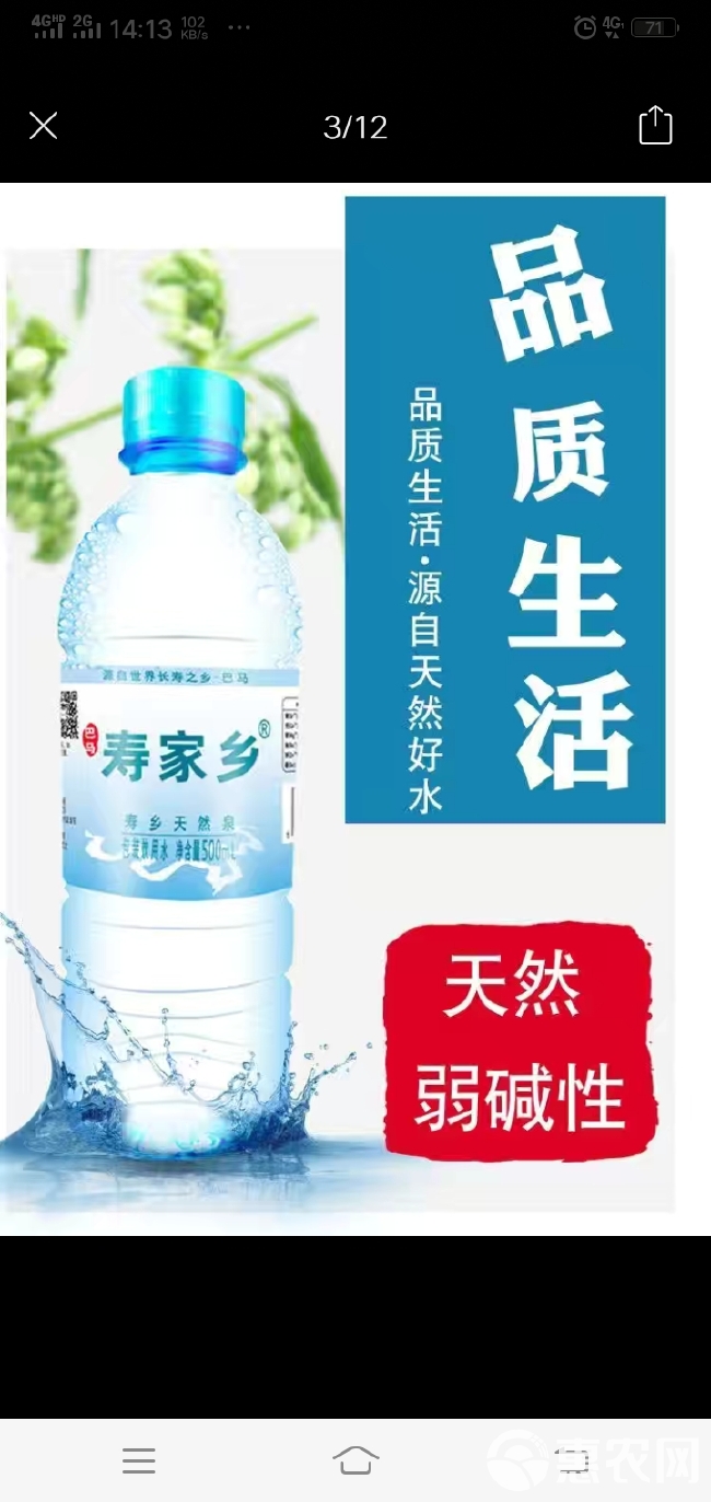 忘情水