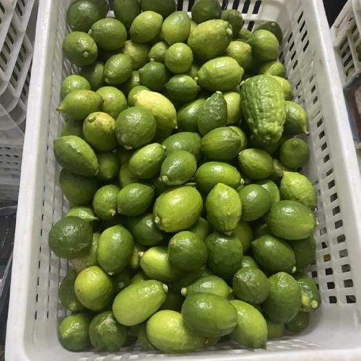 云浮广东香水柠檬二级果
