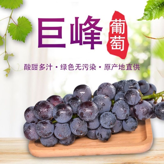 巨峰葡萄新鲜3斤/5斤东北农家大葡萄孕妇夏季水果包邮