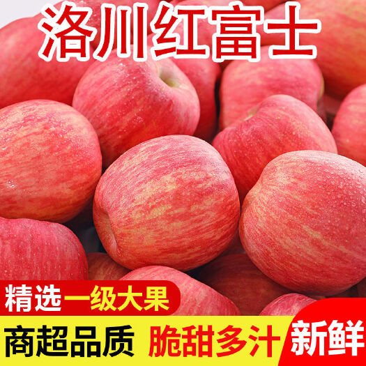 红富士苹果  洛川苹果红富士水果脆甜冰糖心整箱批发当季新