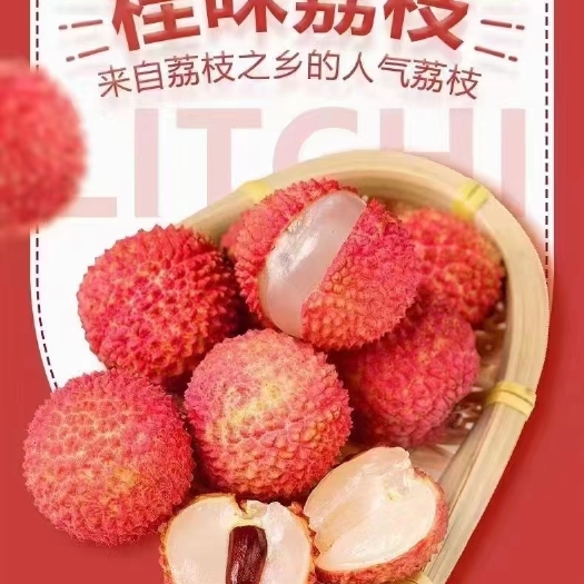广州从化灌村荔枝！优质桂味荔枝