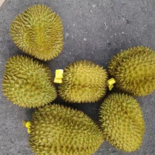泰国金枕榴莲