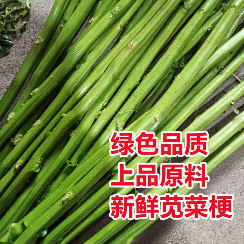 批發(fā)自種莧菜梗粗嫩實心長桿汗菜桿，莓莧菜梗原材料新鮮發(fā)物流