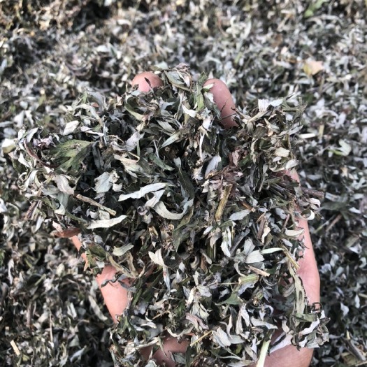 长葛市小艾切段，刀功非常好，全部过完筛子。