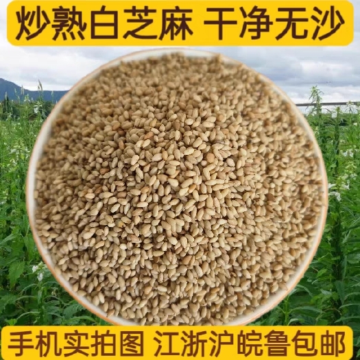 熟白芝麻 50斤 香芝麻25kg干净免洗即食大包商用五谷杂粮