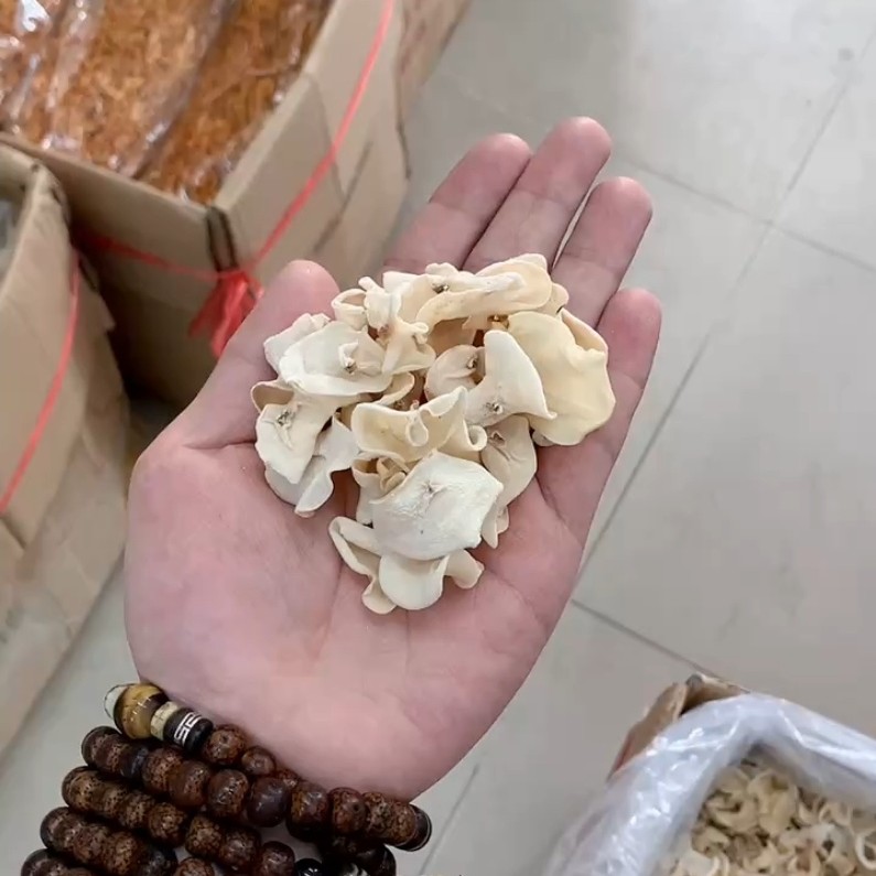 广州白玉木耳产地直销批发玉木耳食用菌干货土特产小碗耳白木耳