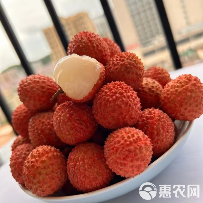 桂味