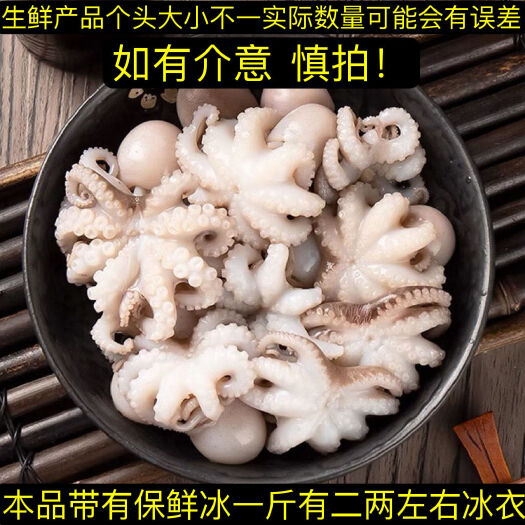 连云港新鲜八爪鱼海鲜水产批发鲜活冷冻小章鱼迷你八爪鱼章鱼足超大爆头