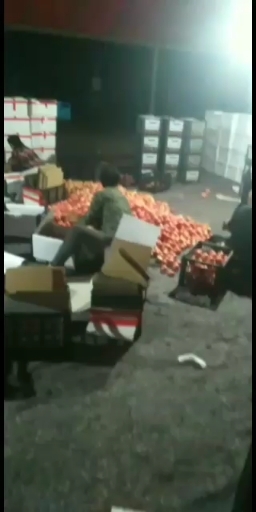 扶余市硬粉西红柿