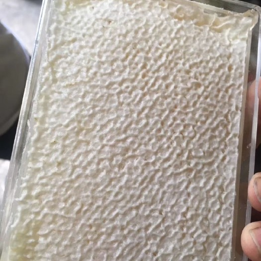 长治百花蜂巢蜜当季新品