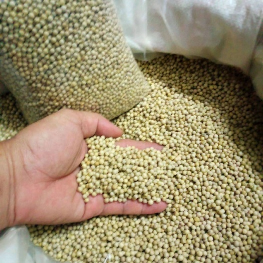 海口海南胡椒调味酱料，煲汤，烧烤调料