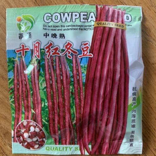 祁东县十月红冬豆角种子冬豆角种子红豆角种子长豆角种子籽