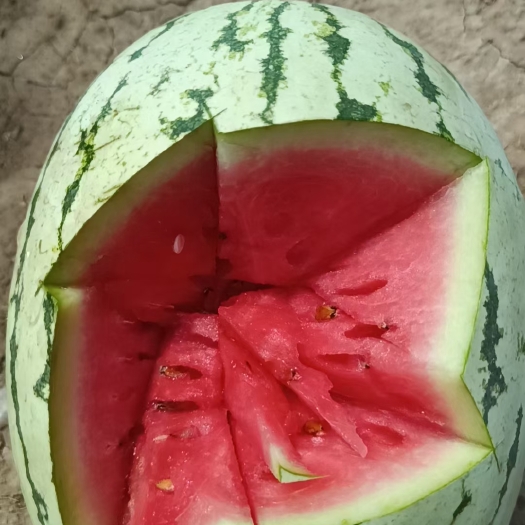 滨州大西瓜