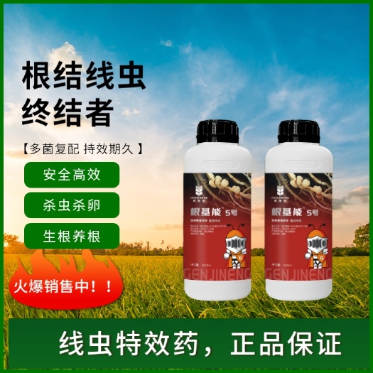 睢县根基能5号根结线虫终结者 番茄黄瓜西瓜甜瓜根结线虫防治专用药