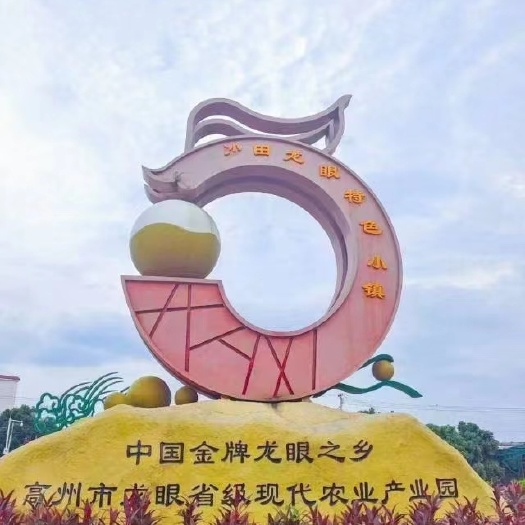 中国龙眼之乡，石硖龙眼，储良龙眼，产地直销，物美价廉诚信为本