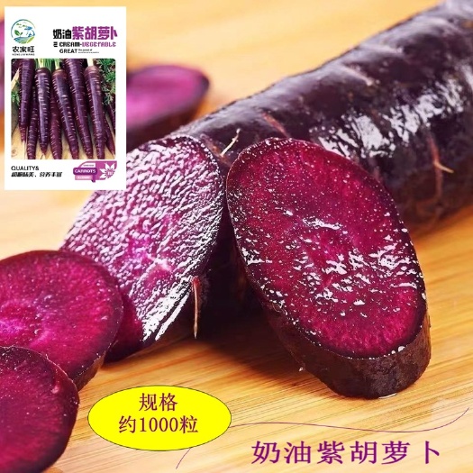 河间市紫色人参胡萝卜种子农田菜园紫皮紫肉胡萝卜蔬菜籽
