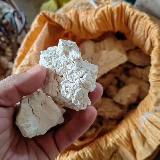 勐腊县茯苓