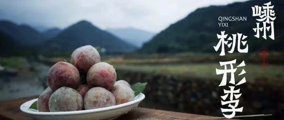 舌尖上的嵊州--桃形李，预定从速7月10号现摘现发