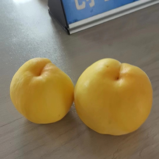 宝鸡黄金蜜桃
