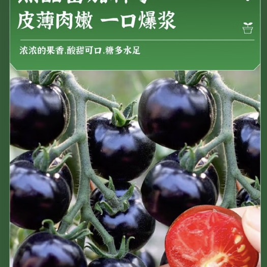 玉溪黑番茄 内维生素超级高 甜度适中