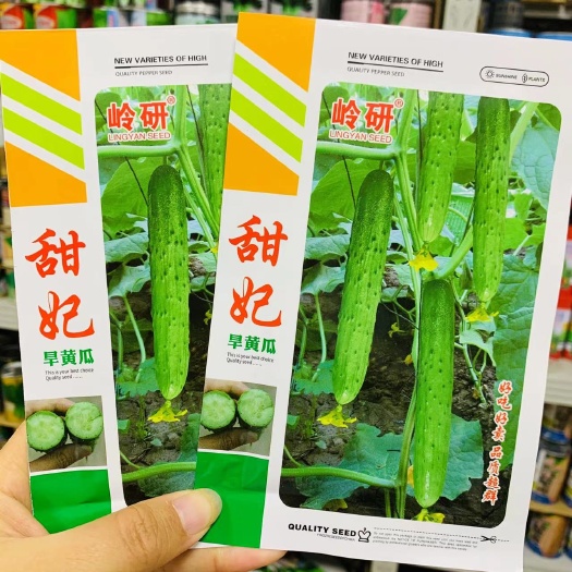 沭阳县甜妃旱黄瓜种子清香甜脆一代杂交水果黄瓜种子北方抗病强好吃好卖