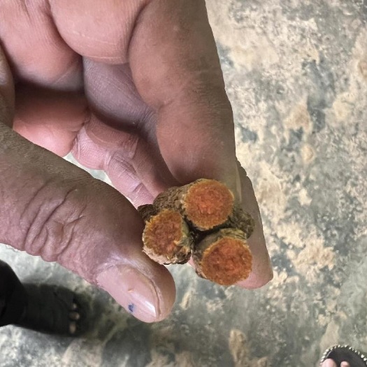 瑞丽市缅甸姜黄药材，长期有货.有需要的详谈