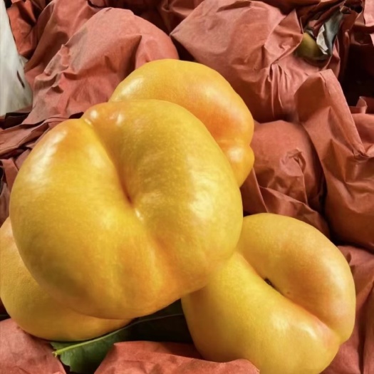 蒙阴县沂蒙山优质蜜桃，各类品种大量上市