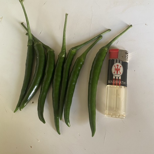 清镇市来着贵州的青红小米椒  个大饱满 不发软  原产地现摘现发