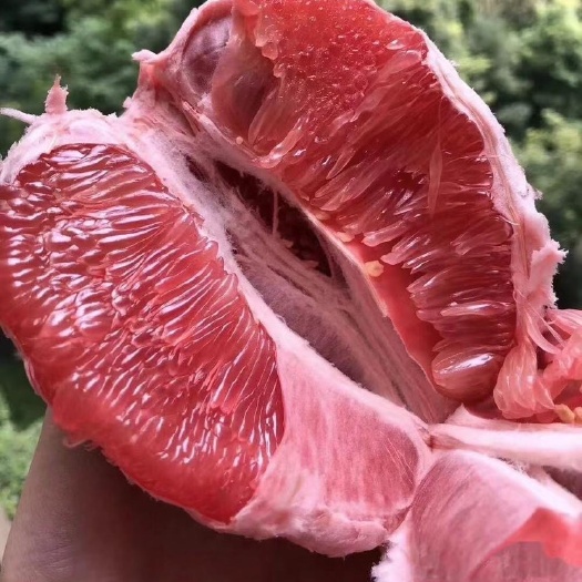 梅州红心蜜柚三红蜜柚产地