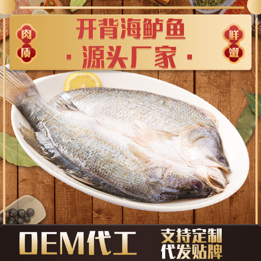 珠海珠海白蕉海鲈鱼