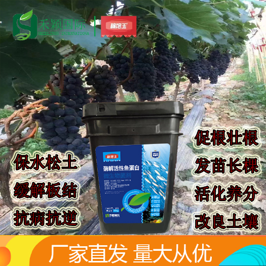 郑州酶解活性鱼蛋白 活化养分改良土壤保水松土