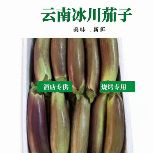 直发新鲜冰川茄优质茄果蔬菜，皮薄肉厚，口感嫩滑