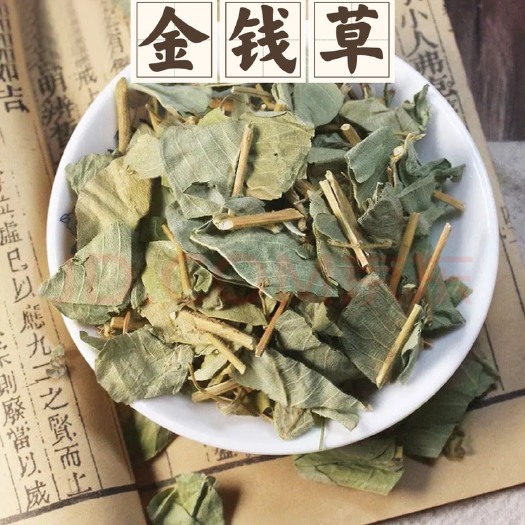 安国市金钱草