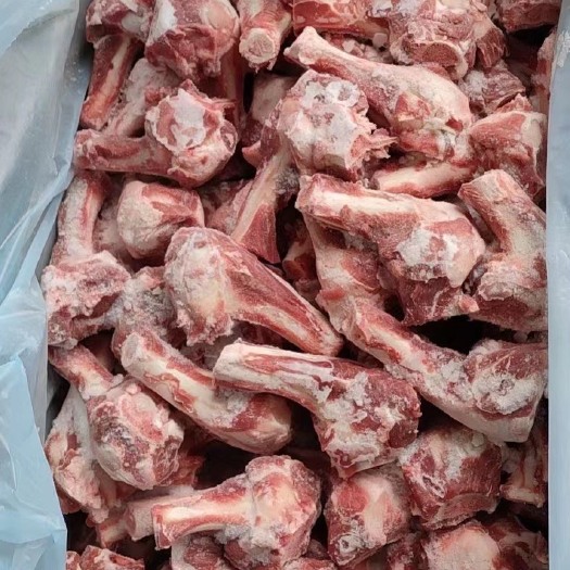 河间市羊骨    羔羊前腿骨，经济实惠自助火锅骨头店