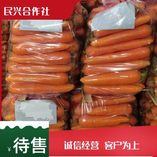 通许县胡萝卜