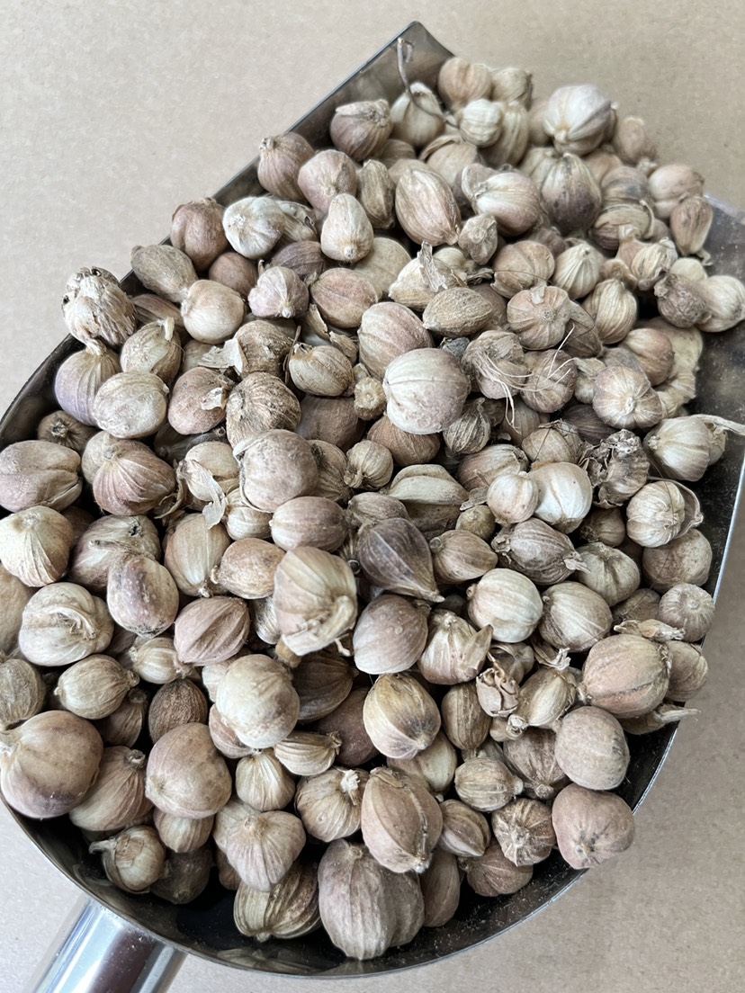 原货白寇白豆寇现货批发各种香料调料中药大全量大从优