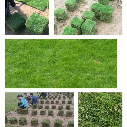 郴州草卷