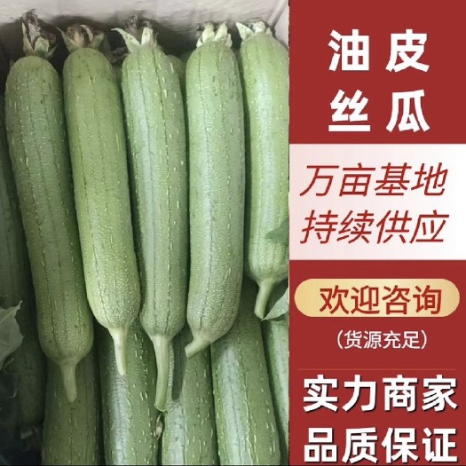 淮安丝瓜