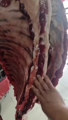阳信县牛排骨，新鲜牛排骨，现货实拍，货源充足