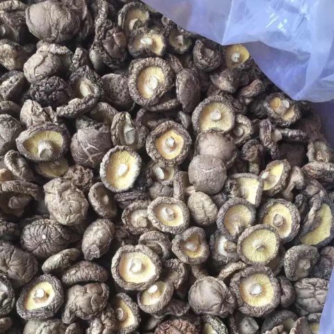香菇干货批发农家商用新鲜肉厚香菇冬菇干货蘑菇煲汤香菇肉厚短根